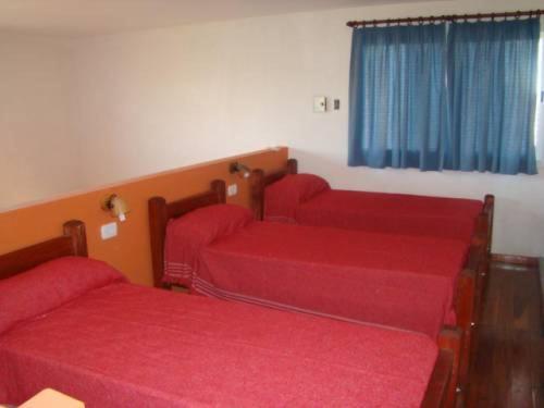 Apartment Mayma